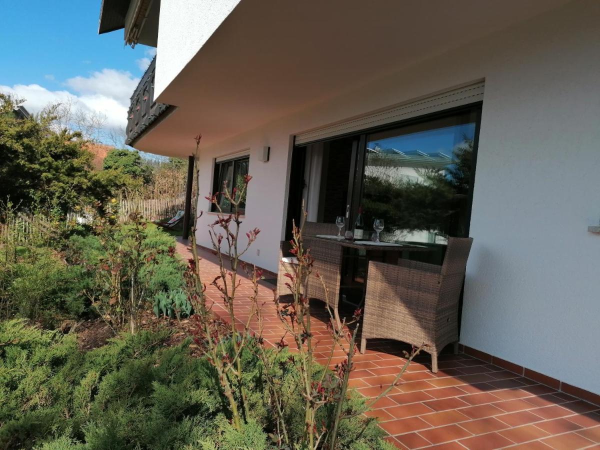 Fewo Mit Burgblick Kreuzwertheim Extérieur photo